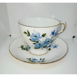 QUEEN ANN BONE CHINA TEA CUP & SAUCER 8466